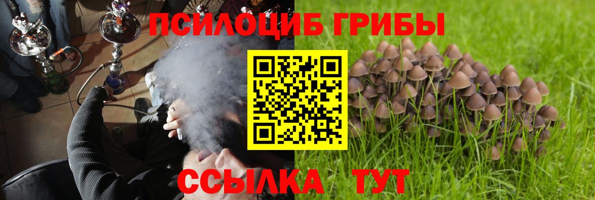 Дагестанские Огни  Псилоцибиновые грибы прущие грибы  Вход с VPN 