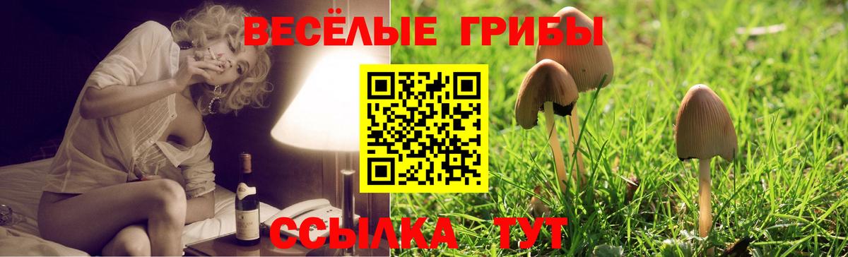 Псилоцибиновые грибы Magic Shrooms Дагестанские Огни